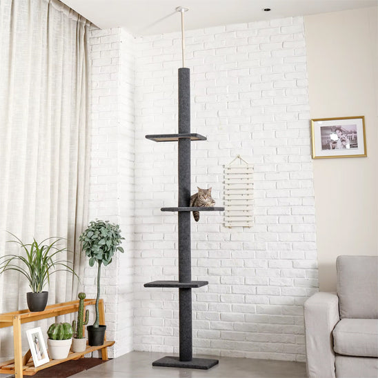 arbre à chat gris