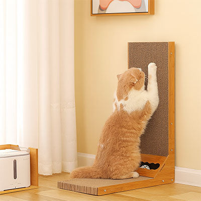 Griffoir Chat Carton Design 90 Degrés coin parfait