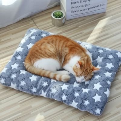 Tapis chat étoile