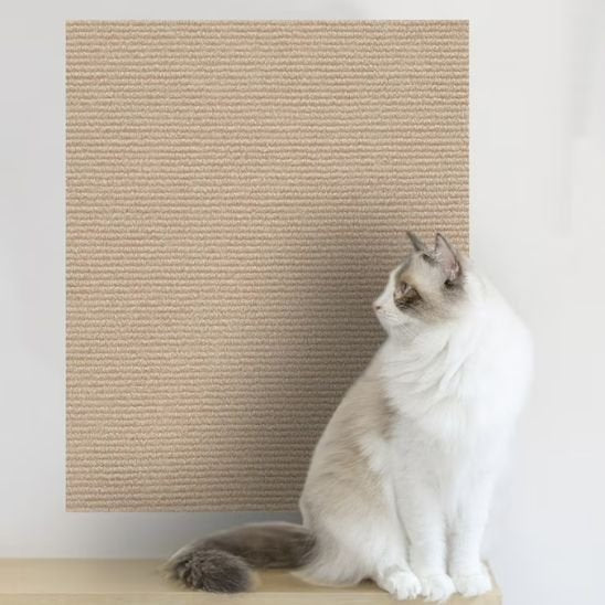 Tapis Griffoir pour Chat beige