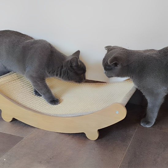 Griffoir chat | DesignHamac - Satisfaction Félin