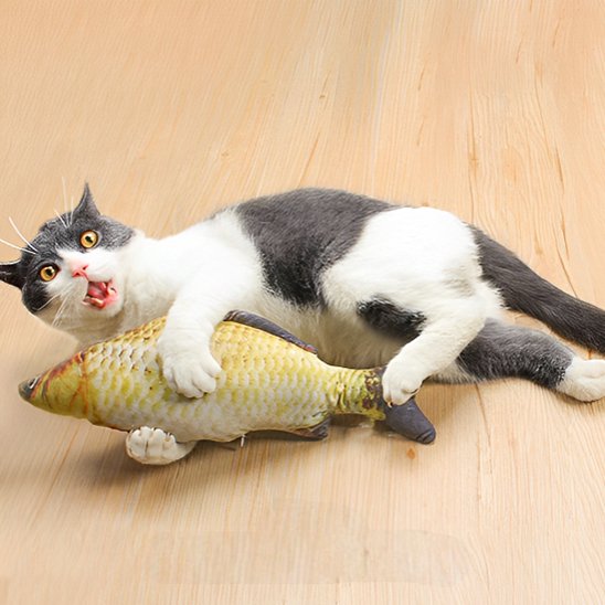 Jouet chat interactif poisson