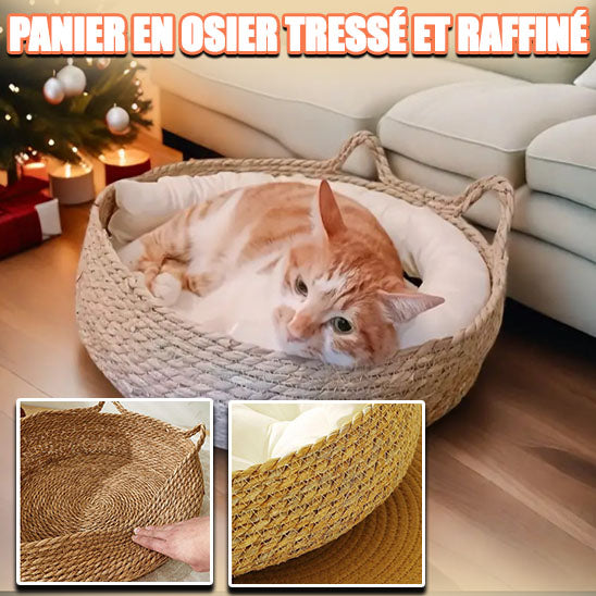 paner-chat-osier-oreille-de-chat