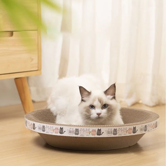 griffoir-chat-carton-resistant
