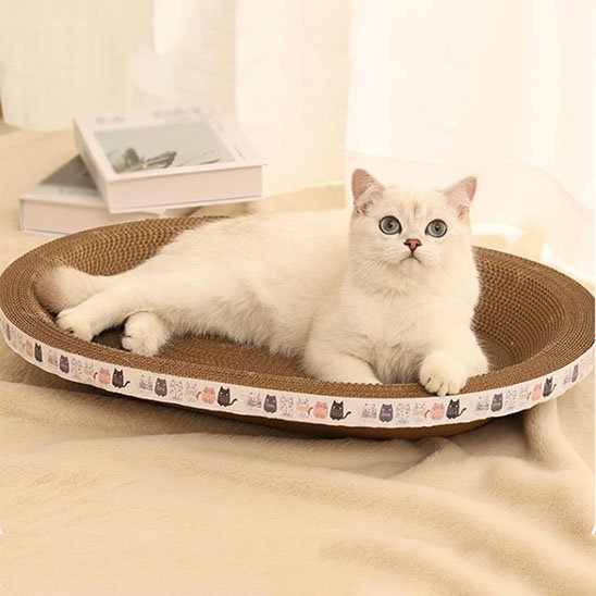 griffoir-chat-carton-ovale