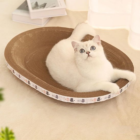 griffoir-en-carton-pour-chat