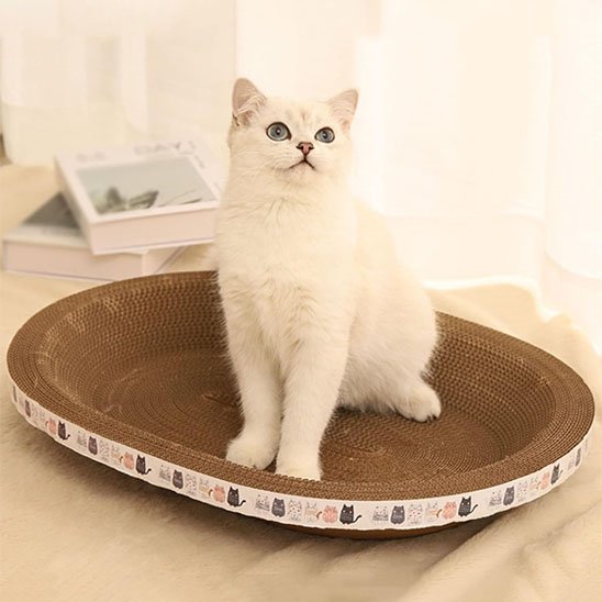 griffoir-chat-carton-confortable