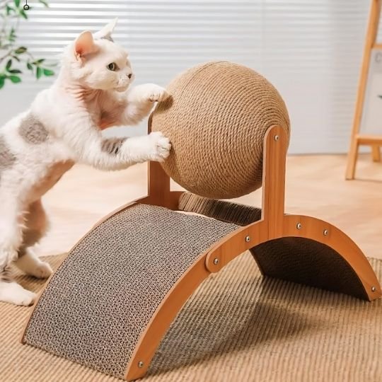 griffoir-chat-carton-amusant