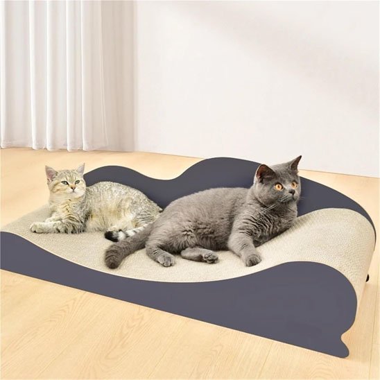 griffoir-chat-carton-canape