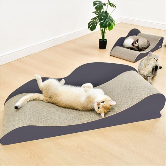 griffoir-chat-beau