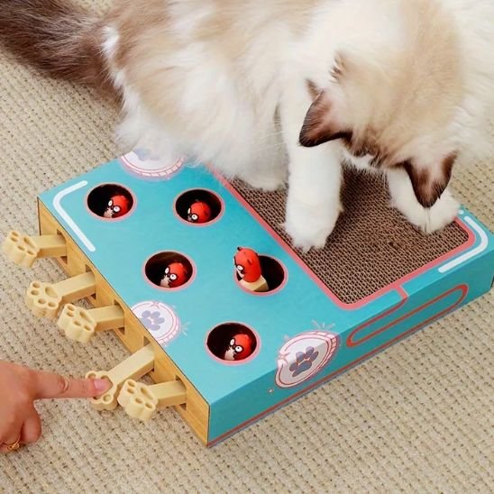 griffoir-chat-carton-revolutionaire