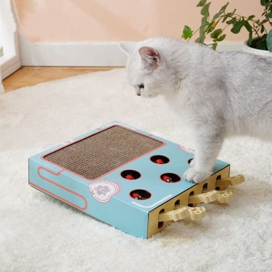 griffoir-chat-carton-peu-encombrant