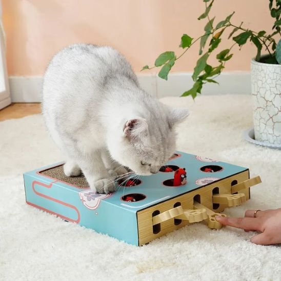 griffoir-chat-carton-jouet