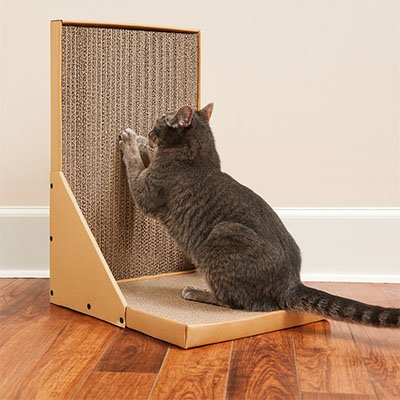 Griffoir-pour-chat-en-carton