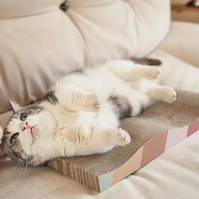 Griffoir-en-carton-pour-chat-heureux
