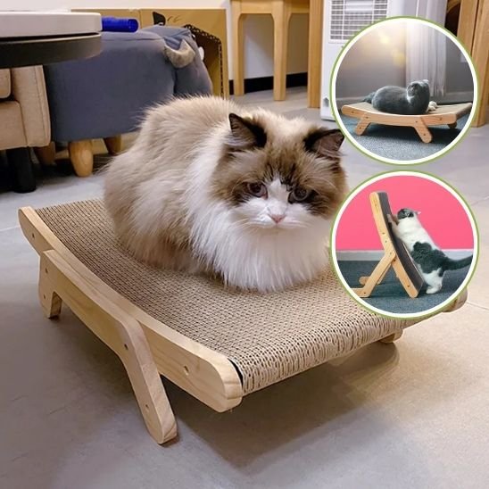 Griffoir en carton pour chat | Protecteur