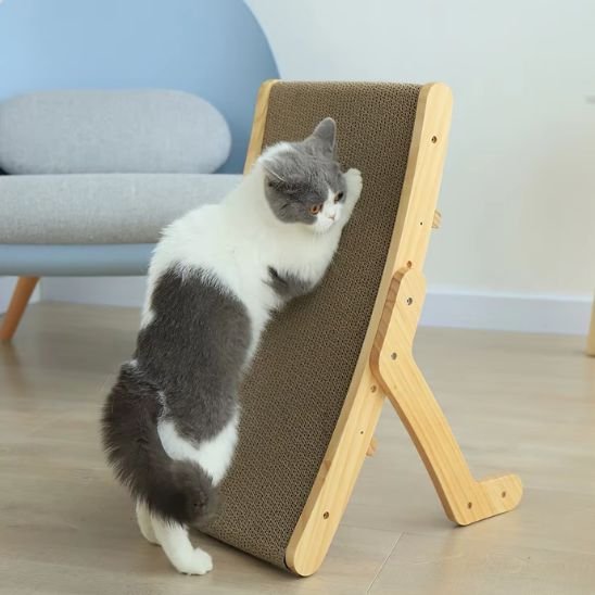 Griffoir en carton pour chat | Protecteur