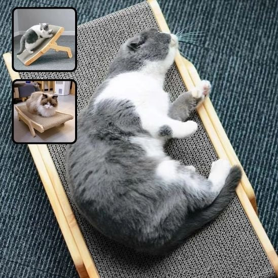 Griffoir en carton pour chat | Protecteur
