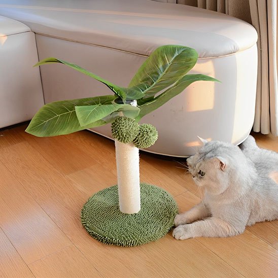 griffoir-pour-chat-interactif