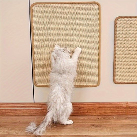 Tapis-griffoir-chat-taille