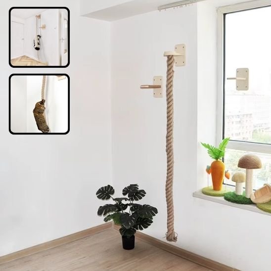 griffoir-chat-sisal