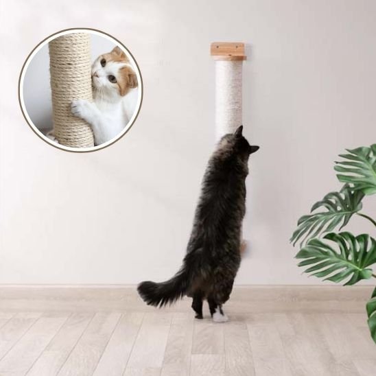griffoir-chat-mural