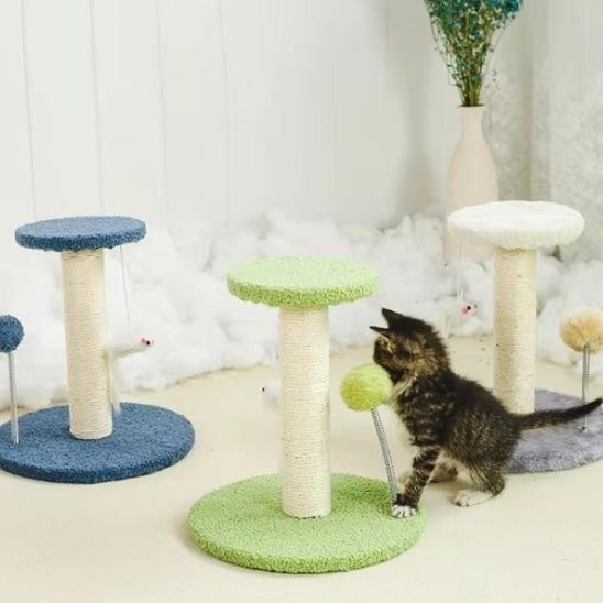 Petit-griffoir-chat