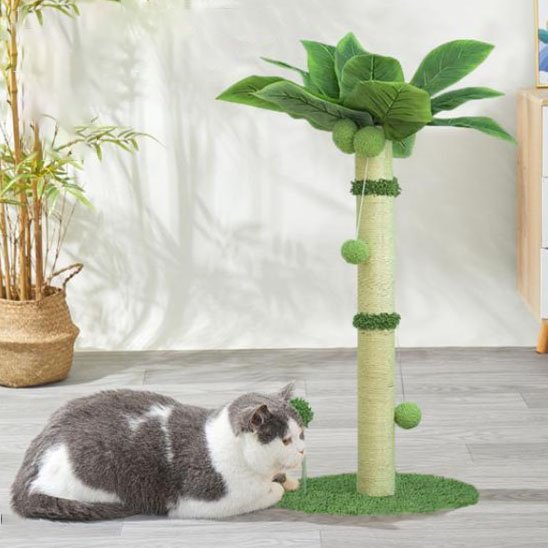 Griffoir-chat-vert