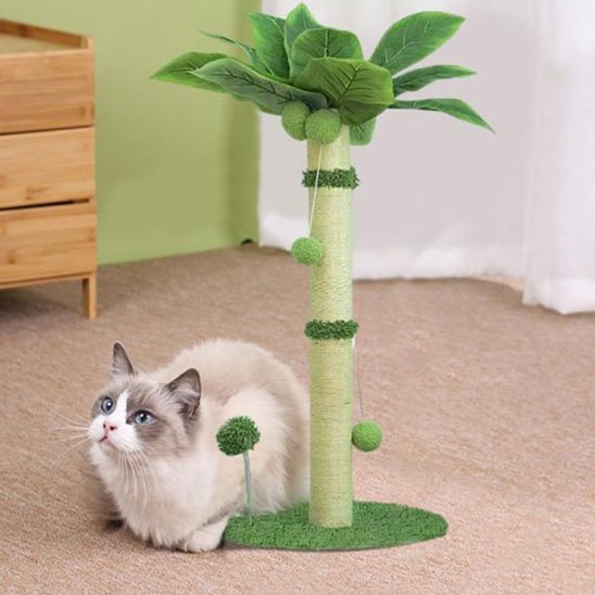 Griffoir-chat-feuille