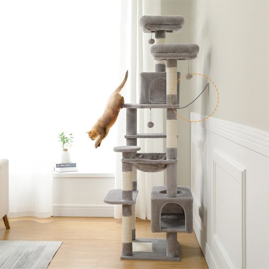 Arbre à chat | Design Noble