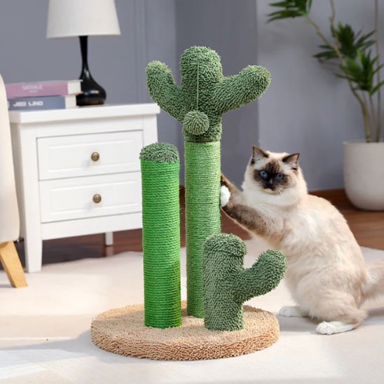 griffoir-a-chat