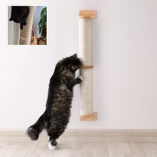 griffoir-chat-blanc