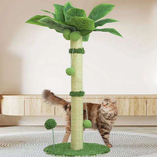 Griffoir-chat-nature
