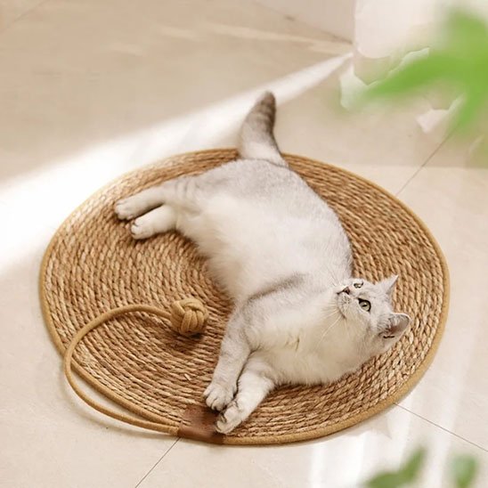Tapis-griffoir-chat-circulaire