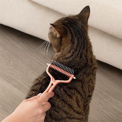 brosse-pour-chat-metal