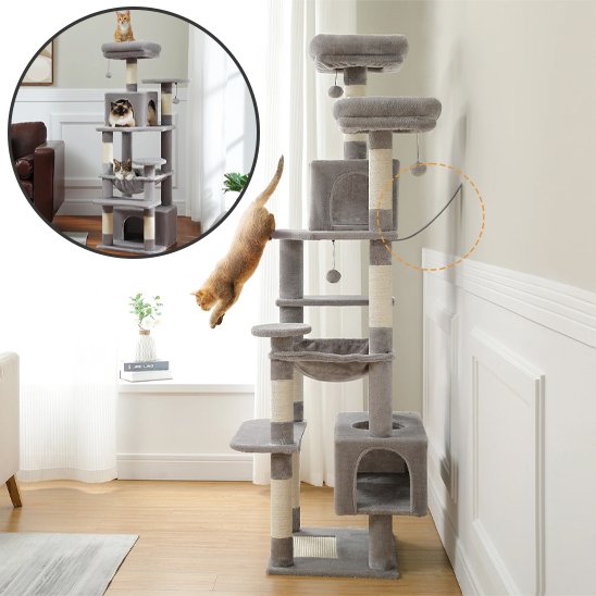Arbre à chat | Design Noble