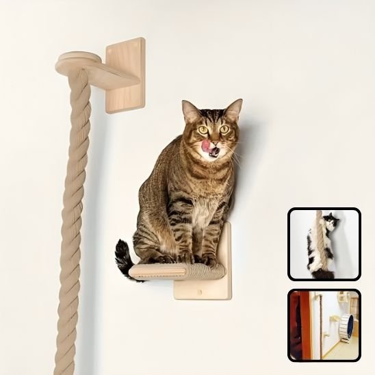 griffoir-chat-escalade