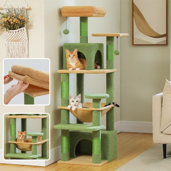 Arbre à chat | Design Noble