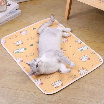 Tapis rafraichissant Chat jaune