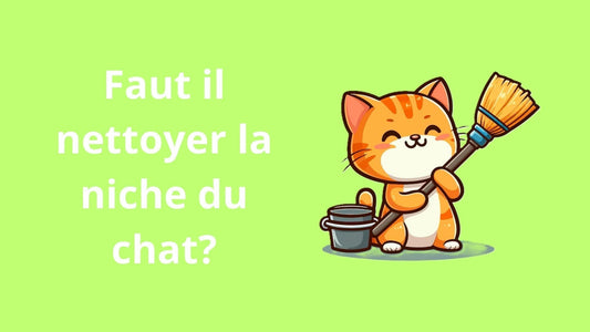 Faut il nettoyer la niche du chat?