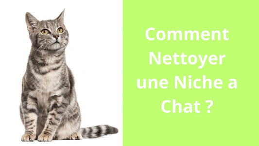 Comment Nettoyer une Niche a Chat ? - Satisfaction Félin