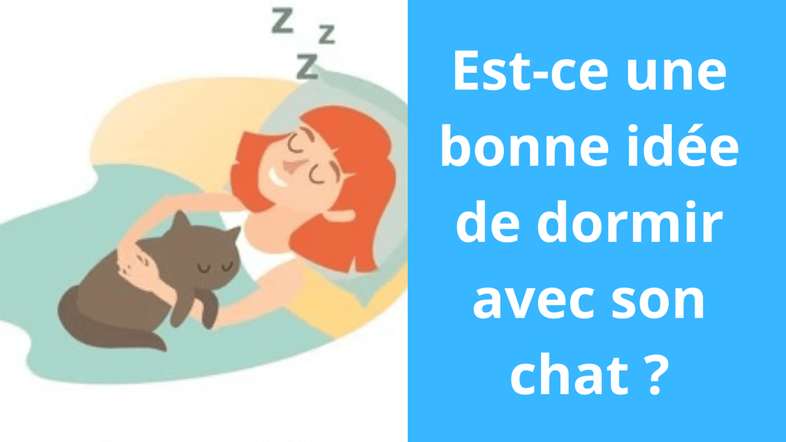 Est-ce une bonne idée de dormir avec son chat ? - Satisfaction Félin