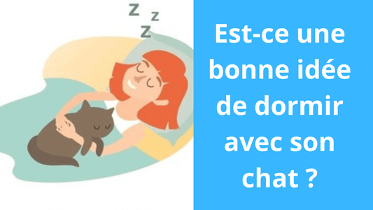Est-ce une bonne idée de dormir avec son chat ? - Satisfaction Félin
