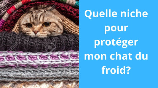 Quelle niche pour protéger mon chat du froid? - Satisfaction Félin