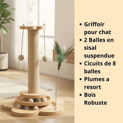 Griffoir Interactif | ZenWood™