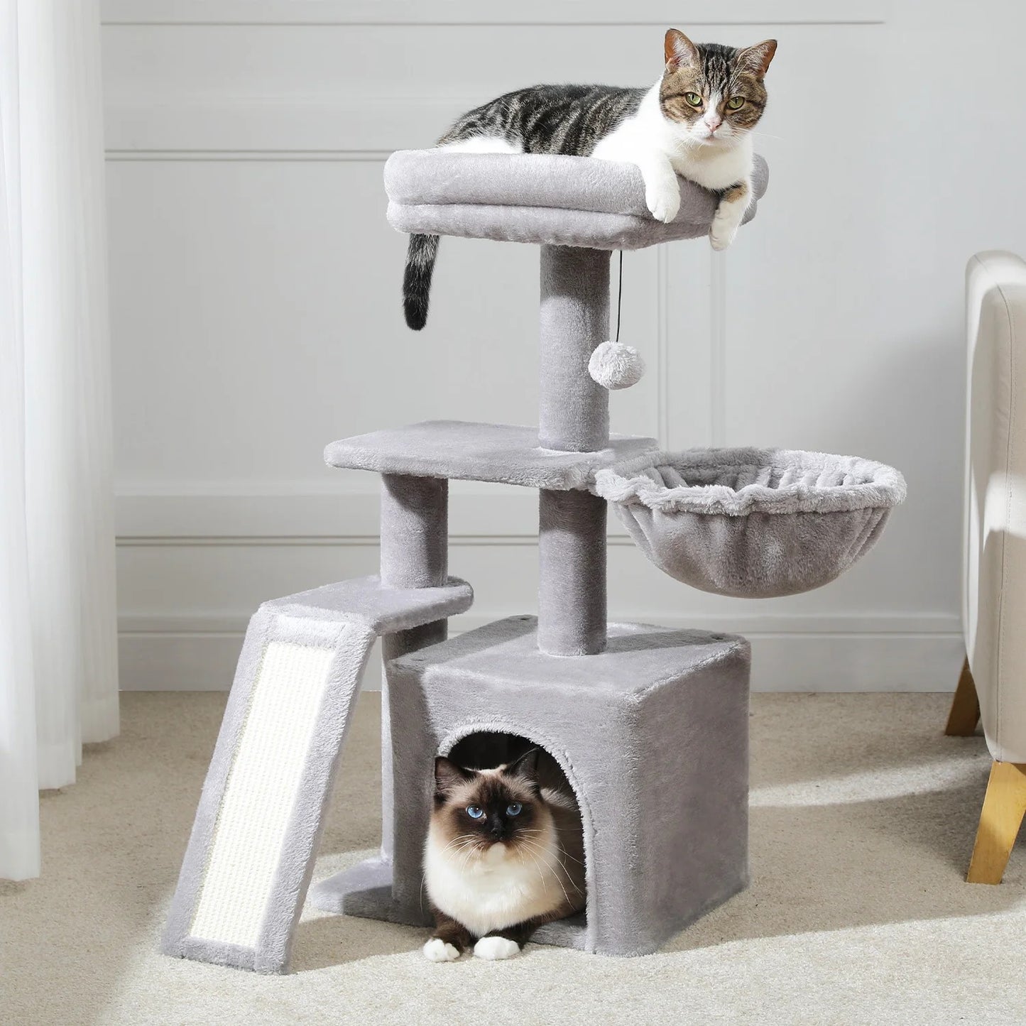 Arbre A Chat gris