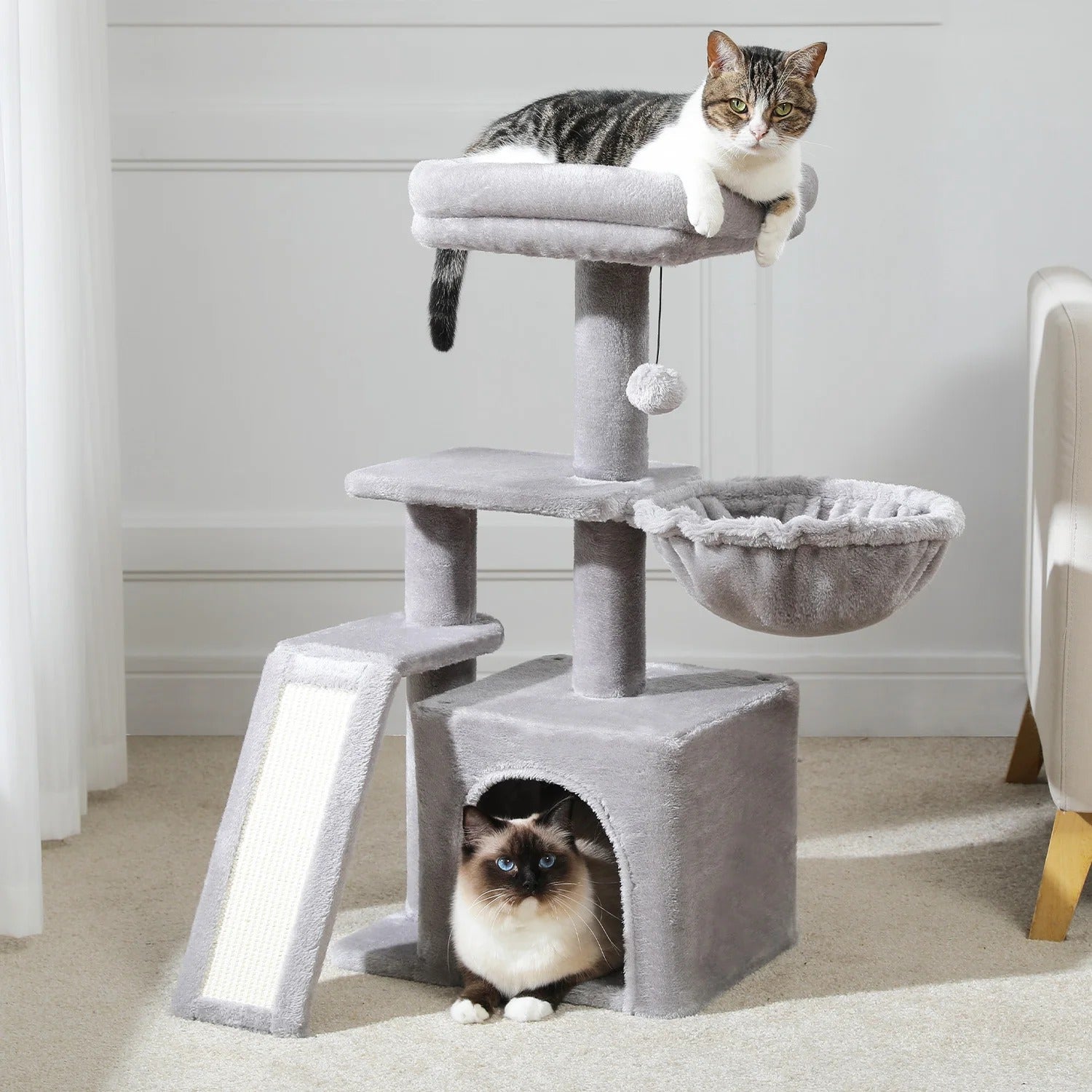 Arbre A Chat gris