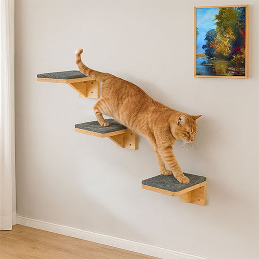 Arbre à Chat mural | ÉcoSpace