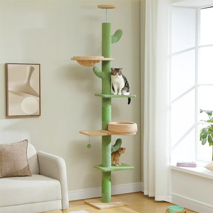 arbre à chat vert