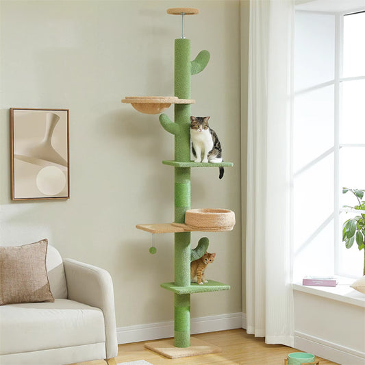 arbre à chat vert